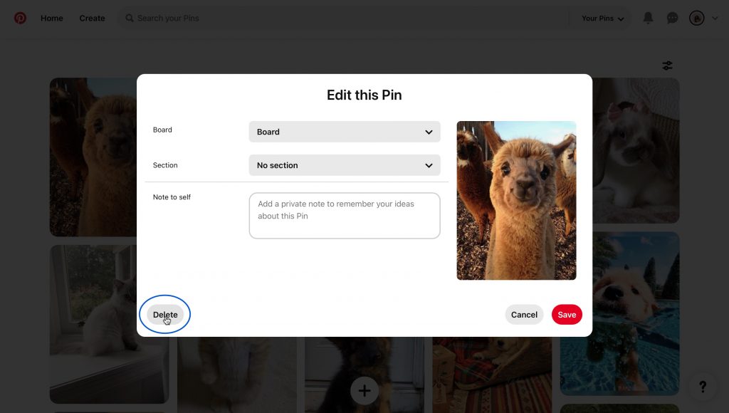 Hoe verwijder je een pin op Pinterest: een stap-voor-stap gids